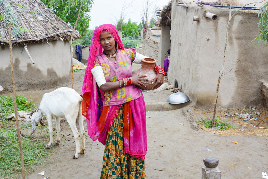 Solemnity of St Joseph