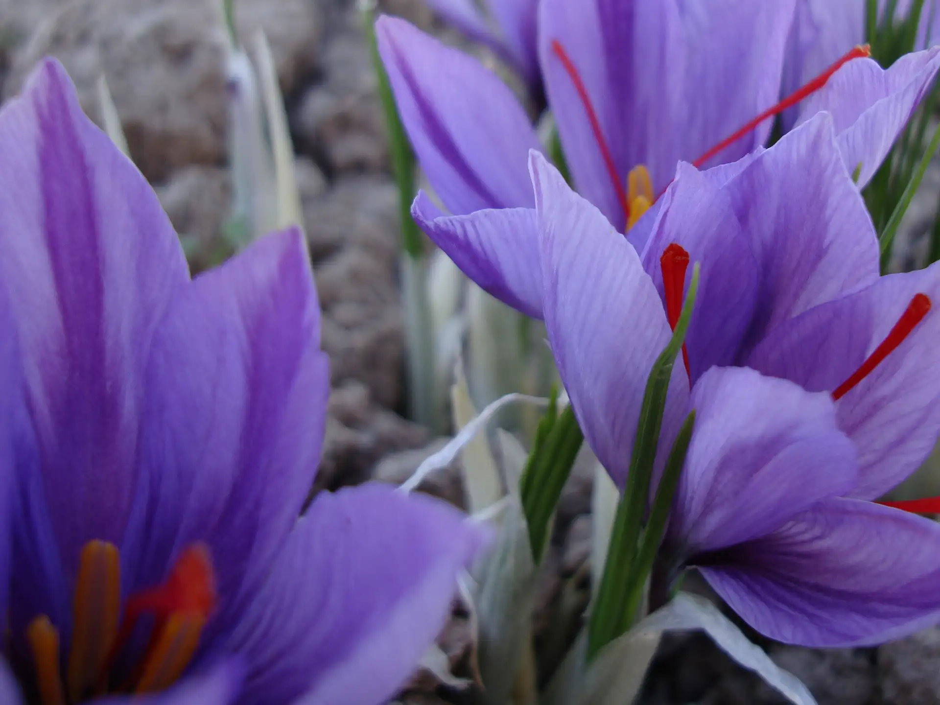 CAFOD renews commitment to Afghanistan on third anniversary of Taliban takeover