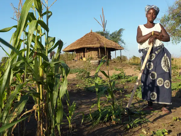 WFD_Raffle_2020_Luisa4