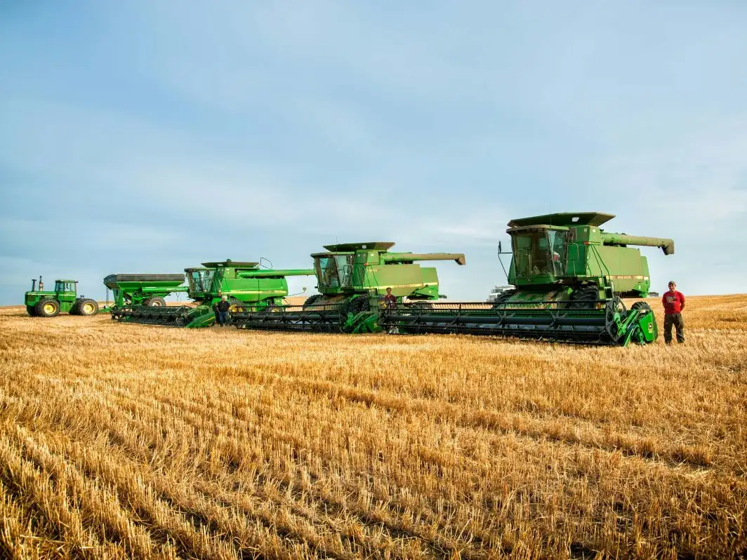 darla-hueske-TthIOdvmrVk-unsplash