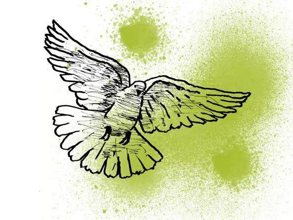 Confirmation_dove image