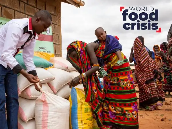 Emergency response flowchart