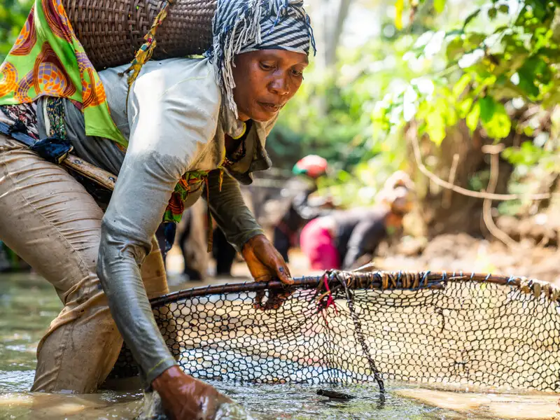 Philanthropy and corporate partnerships