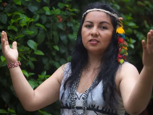 Novena to Saint Francis