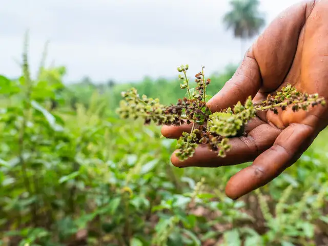 Pentecost Novena Day 9