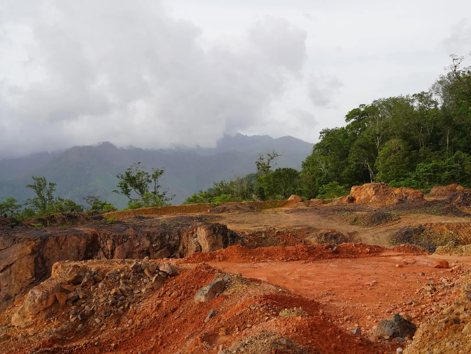 National Park Carlos Escaleras
