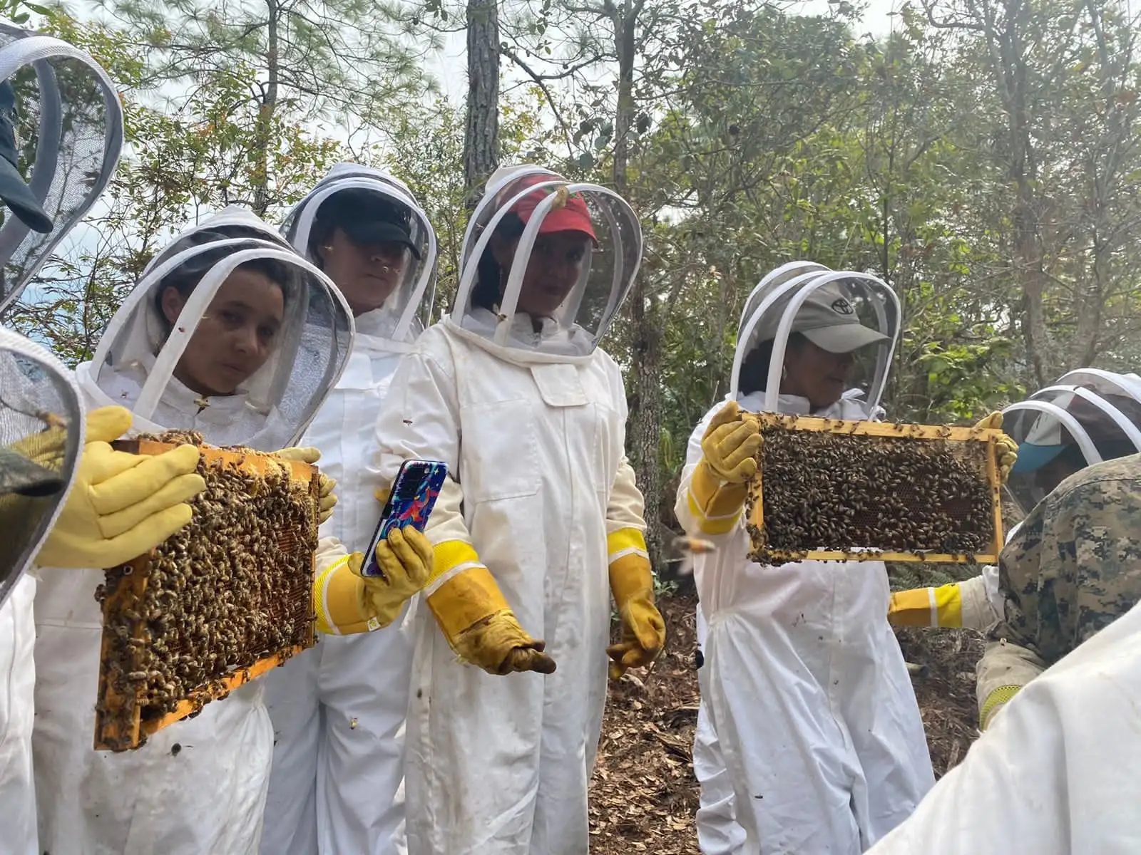 Latin America - Honduras - Beekeepers