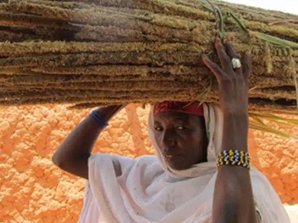 Mary, Queen of creation