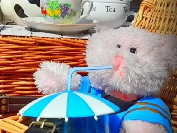 Teddy bear's picnic