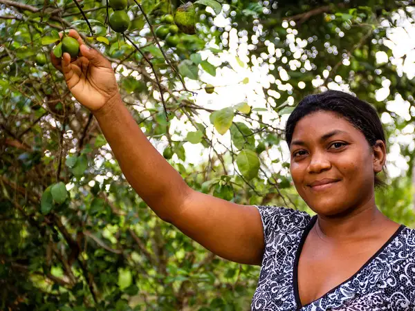 Protectors of creation