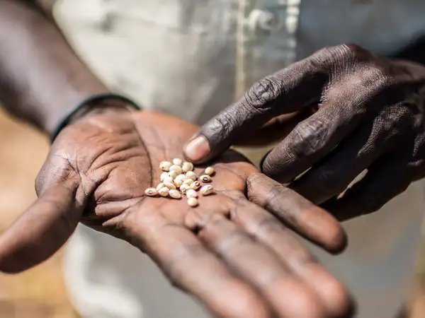 New research finds South Sudan has most severe food insecurity in the world