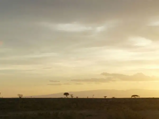 Our Father prayer collection