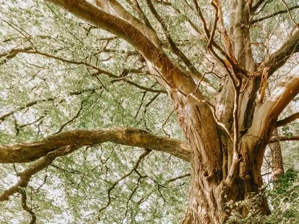 CAFOD response to Environmental Audit Committee inquiry on Climate Change and Security