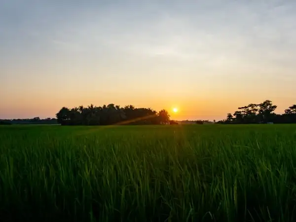 Engaging in the 2030 Agenda through the lens of Laudato Si’