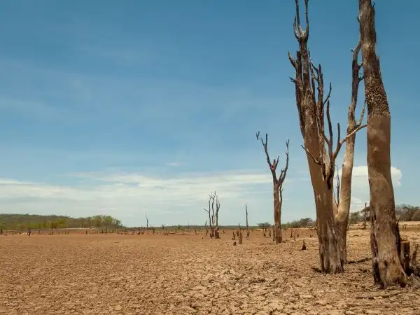 Assessing UK International Climate Finance Actions Against the Global Goal on Adaptation