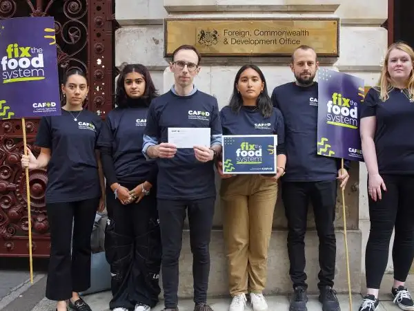 How the UK Government can support transformational action in the global food system