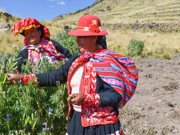 Latin America - Peru - Indeginous women farming and saving water