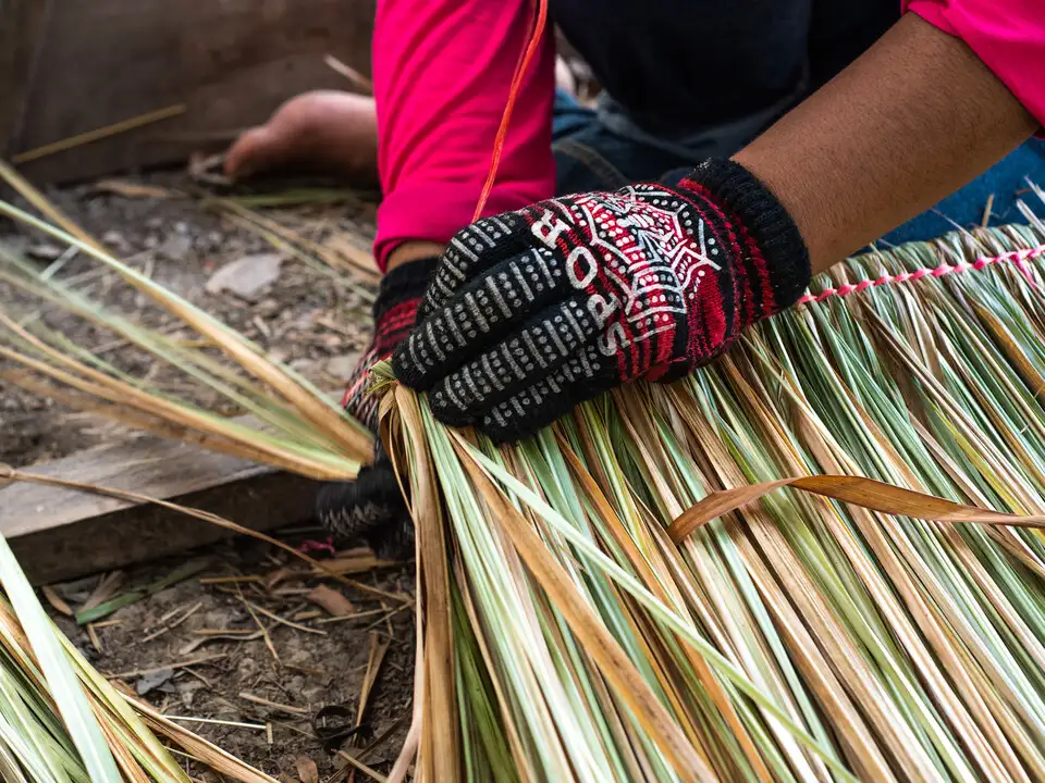 CAFOD response to International Development Committee inquiry on FCDO and civil societies